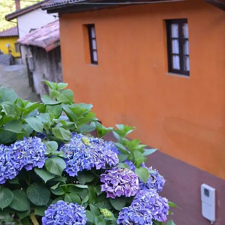 Casa Gelina * Corras de la Puente