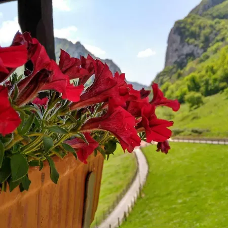 Feriehus Casa Gelina *